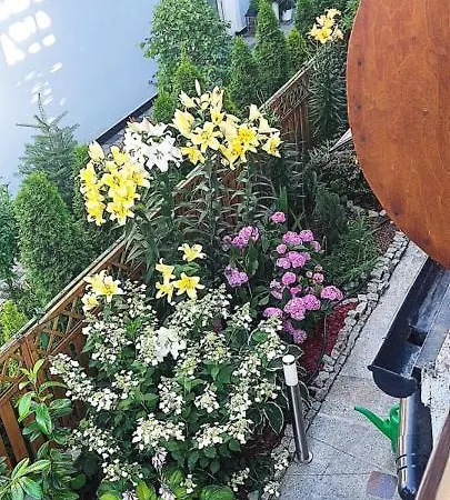 Roza Wiatrow בית אירוח *