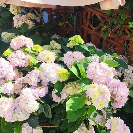 בית אירוח Roza Wiatrow קולובז'ג