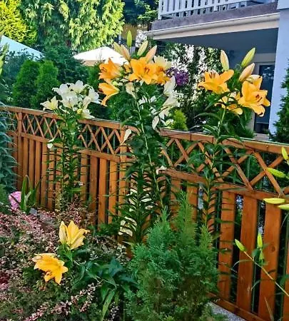 Kwatera prywatna Róża Wiatrów *