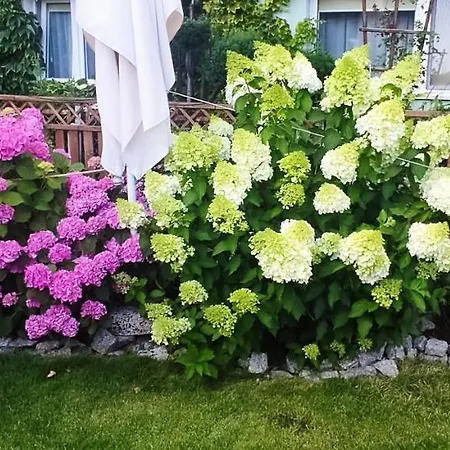 Roza Wiatrow בית אירוח *