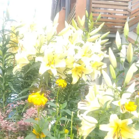 Kwatera prywatna Róża Wiatrów